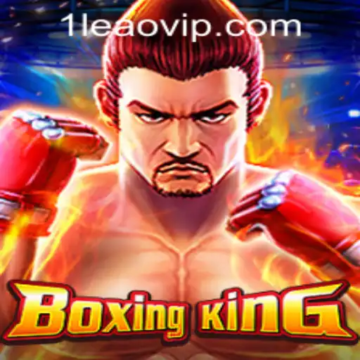 Enter the Ring with BoxingKing: A Complete Guide